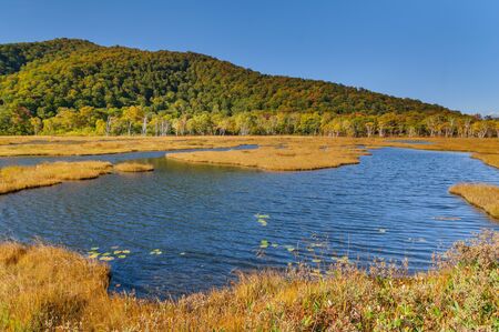 Japanese landscape-ozegahara-katashina-gunmaの写真素材