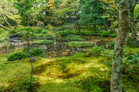 Japanese landscapeの写真素材