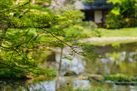 Japanese landscape-murinan-kyotoの写真素材