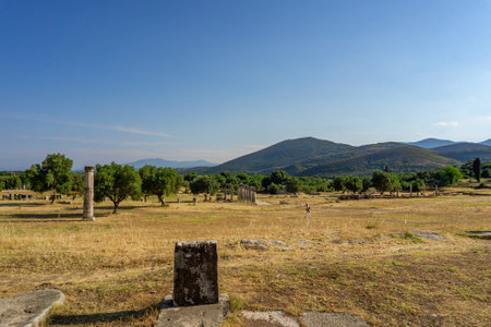 Messini, Greece - June 20 2021: Ruins in the Ancient Messene archeological site, Peloponnese, Greece. One of the best preserved ancient cities in Greece with visible remains dating back further than the 4th century BC.のeditorial素材