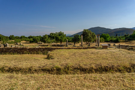 Messini, Greece - June 20 2021: Ruins in the Ancient Messene archeological site, Peloponnese, Greece. One of the best preserved ancient cities in Greece with visible remains dating back further than the 4th century BC.のeditorial素材