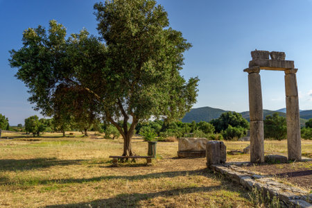 Messini, Greece - June 20 2021: Ruins in the Ancient Messene archeological site, Peloponnese, Greece. One of the best preserved ancient cities in Greece with visible remains dating back further than the 4th century BC.のeditorial素材