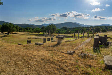 Messini, Greece - June 20 2021: Ruins in the Ancient Messene archeological site, Peloponnese, Greece. One of the best preserved ancient cities in Greece with visible remains dating back further than the 4th century BC.のeditorial素材