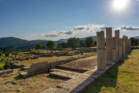 Messini, Greece - June 20 2021: Ruins in the Ancient Messene archeological site, Peloponnese,...