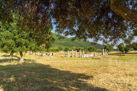 Messini, Greece - June 20 2021: Ruins in the Ancient Messene archeological site, Peloponnese, Greece. One of the best preserved ancient cities in Greece with visible remains dating back further than the 4th century BC.のeditorial素材