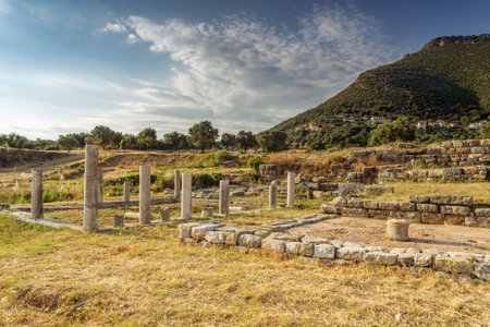 Messini, Greece - June 20 2021: Ruins in the Ancient Messene archeological site, Peloponnese, Greece. One of the best preserved ancient cities in Greece with visible remains dating back further than the 4th century BC.のeditorial素材