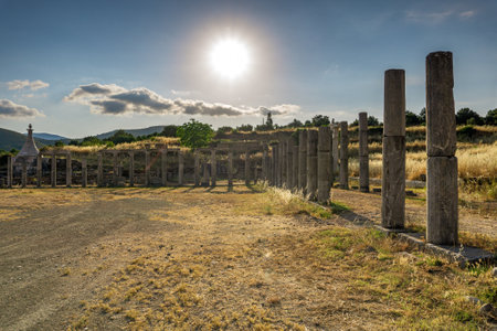 Messini, Greece - June 20 2021: Ruins in the Ancient Messene archeological site, Peloponnese, Greece. One of the best preserved ancient cities in Greece with visible remains dating back further than the 4th century BC.のeditorial素材