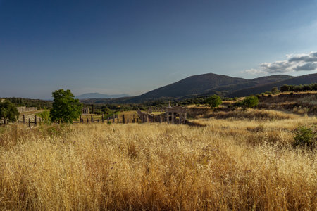 Messini, Greece - June 20 2021: Ruins in the Ancient Messene archeological site, Peloponnese, Greece. One of the best preserved ancient cities in Greece with visible remains dating back further than the 4th century BC.のeditorial素材