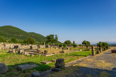 Messini, Greece - June 20 2021: Ruins in the Ancient Messene archeological site, Peloponnese, Greece. One of the best preserved ancient cities in Greece with visible remains dating back further than the 4th century BC.のeditorial素材