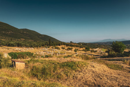 Messini, Greece - June 20 2021: Ruins in the Ancient Messene archeological site, Peloponnese,...