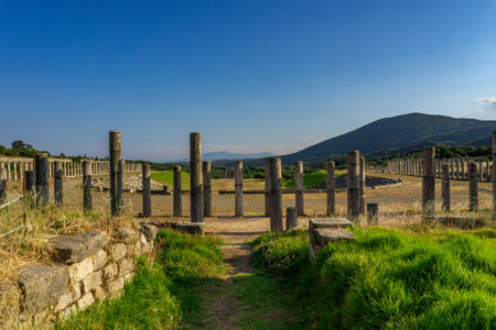 Messini, Greece - June 20 2021: Ruins in the Ancient Messene archeological site, Peloponnese, Greece. One of the best preserved ancient cities in Greece with visible remains dating back further than the 4th century BC.のeditorial素材