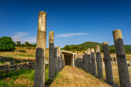 Messini, Greece - June 20 2021: Ruins in the Ancient Messene archeological site, Peloponnese,...