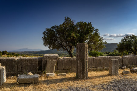 Messini, Greece - June 20 2021: Ruins in the Ancient Messene archeological site, Peloponnese, Greece. One of the best preserved ancient cities in Greece with visible remains dating back further than the 4th century BC.のeditorial素材