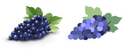 Realistic grapes illustration on white background for design usesの写真素材