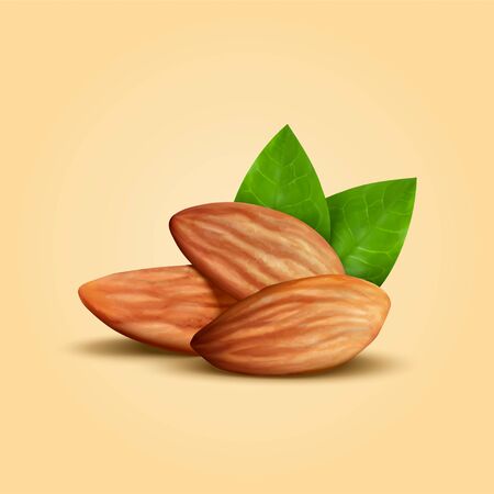Whole shelled almond seeds with green leaves isolated on warm yellow background in 3d illustrationのイラスト素材
