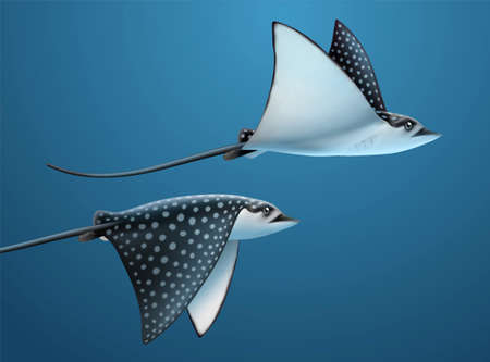 Realistic stingrays flapping their sides under deep water, 3d illustrationのイラスト素材