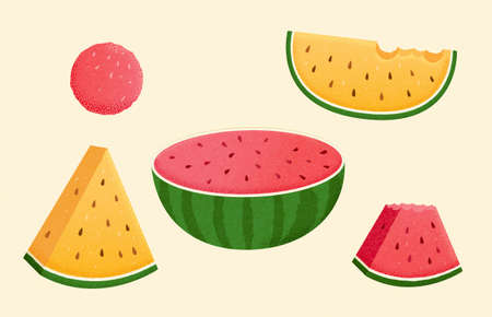 Hand drawn cute watermelon set. Illustration of watermelon ball, half watermelon, and watermelon slicesのイラスト素材