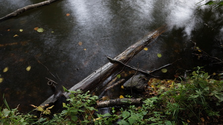 photo taken at a high shutter speed by the riverの写真素材