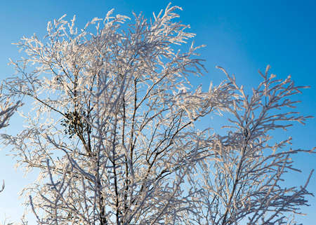 Mid-morning の写真素材