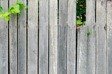wooden wall fence with flower backgroundの写真素材