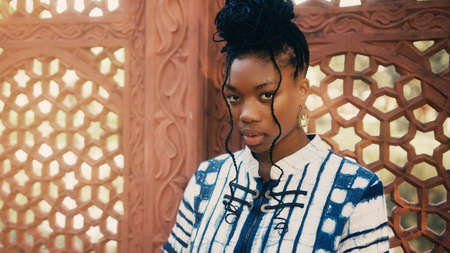 Fashion portrait of a beautiful African-American womanの写真素材