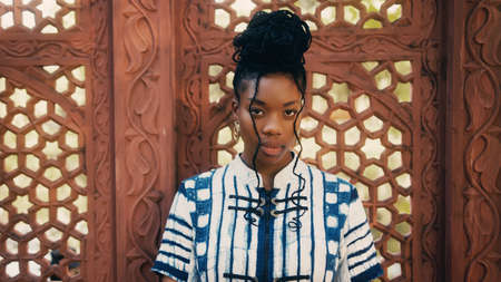 Fashion portrait of a beautiful African-American womanの写真素材