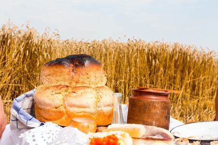 Traditional breakfast in the open at the time of harvestの写真素材
