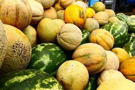 Pile of just harvested mixed watermelons and cantaloupe ready for selling in marketの写真素材