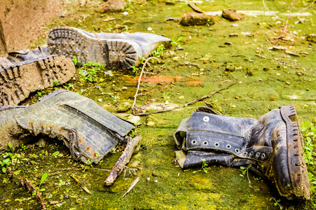 Old dirty shoes overgrown with a moss standing in grass