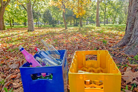 Empty transparent bottle on the autumn background, beautiful landscape