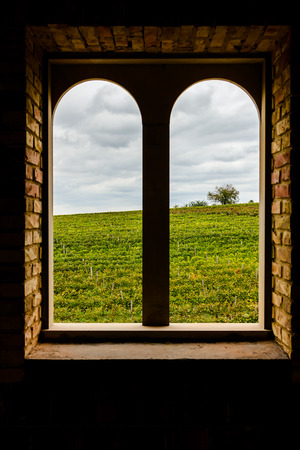 View through a window arched stone and brick along the rows of a vineyard at the evening.の写真素材