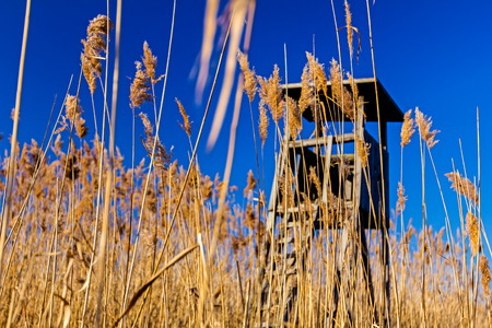Lookout tower placed in a field of red for bird watching.の写真素材