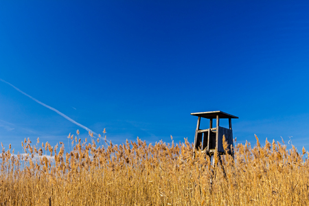 Lookout tower placed in a field of red for bird watching.の写真素材
