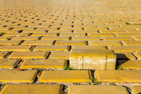 Brick representing the concept of standing out from the crowdの写真素材