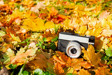 Vintage film photo camera on autumn colorful leaves.の写真素材