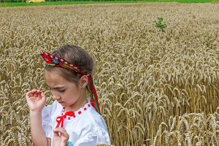 Muzlja, Vojvodina, Serbia, - July 04, 2015; XXXII Traditionally wheat harvest.のeditorial素材