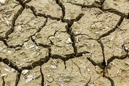 Wet cracked clay or dirt for texture pattern background.