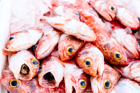 Fresh fish on ice in a box  at supermarket for sale.の写真素材