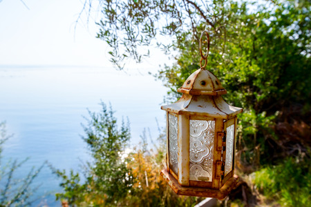 Lantern is hanging on tree branch high above open sea.の写真素材