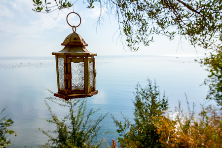 Lantern is hanging on tree branch high above open sea.の写真素材