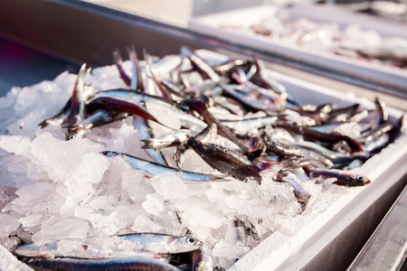 Pile of fresh European Anchovy fish for sale on the fishmonger, outdoor seafood market.の写真素材