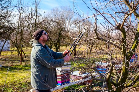 Farmer is pruning branches of fruit trees in orchard using long loppers at early springtime.の写真素材