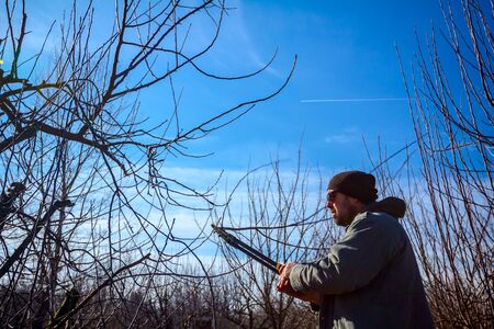 Farmer is pruning branches of fruit trees in orchard using long loppers at early springtime.の写真素材