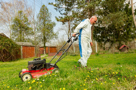 Gardener wearing protective overall is cutting grass in his yard with motor lawn mower among fruit...