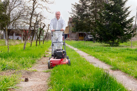 Gardener wearing protective overall is cutting grass in his yard with motor lawn mower among fruit...