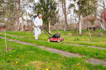 Gardener wearing protective overall is cutting grass in his yard with motor lawn mower among fruit...
