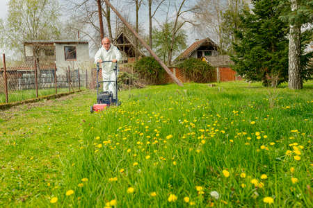 Gardener wearing protective overall is cutting grass in his yard with motor lawn mower among fruit trees.の写真素材