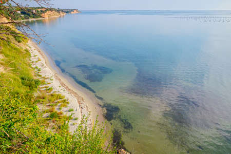 Seafloor is visible through turquoise transparent water and green vegetation on ground above.