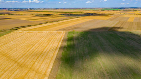 Above view over agricultural fields, cultivated plots in harvest season, blue sky with white fluffy clouds their shadows are on the ground.の写真素材