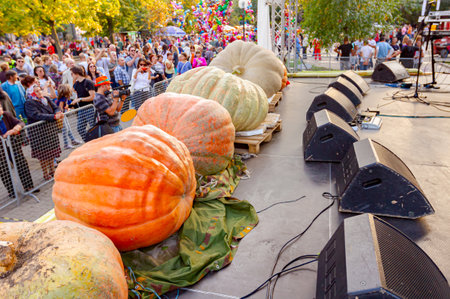 Kikinda, Vojvodina, Serbia - October 11, 2014: Giant pumpkins display on stage at traditional holiday competition.のeditorial素材